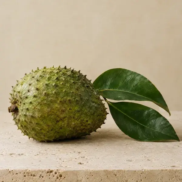 A green soursop fruit with two glossy leaves