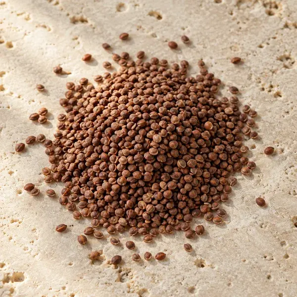 Small reddish-brown radish seeds